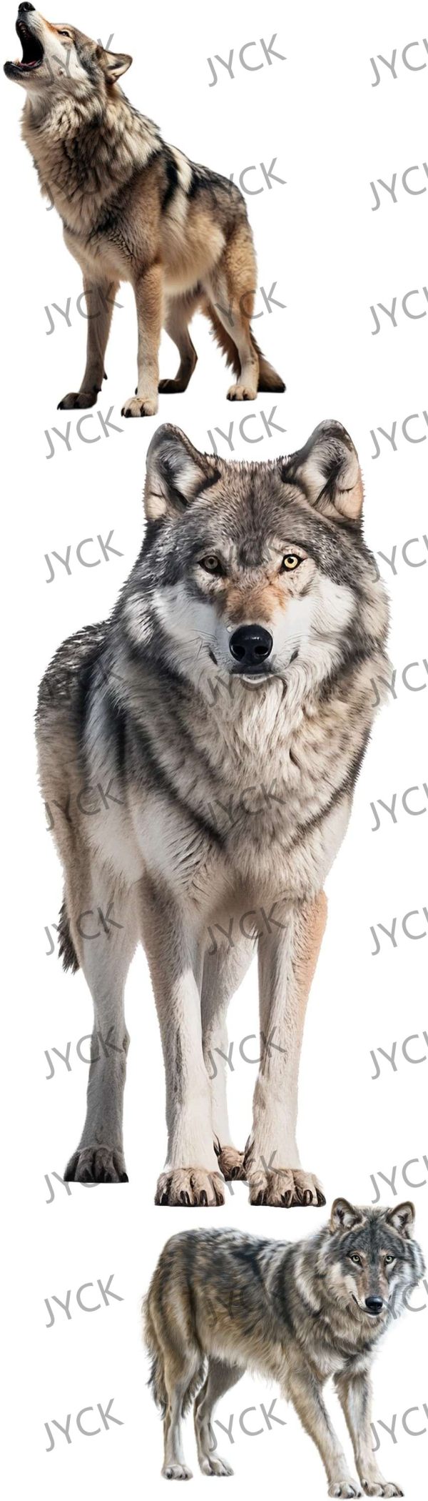 19272